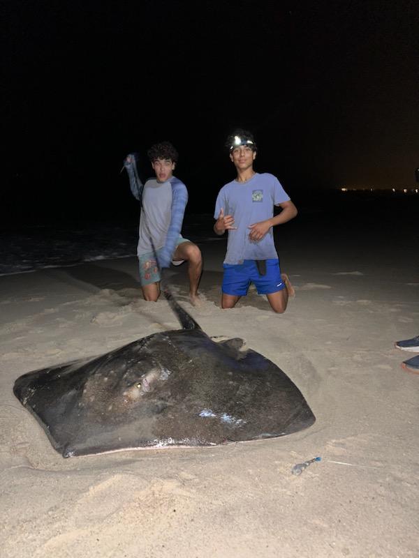 Stingray caught Surf