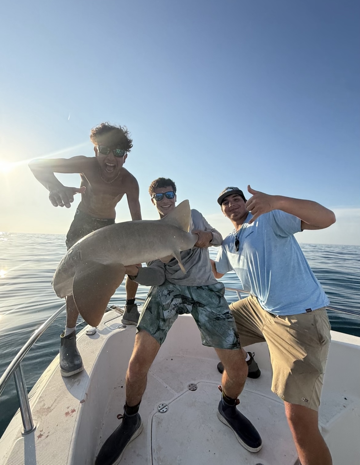 Nurse Shark caught Offshore