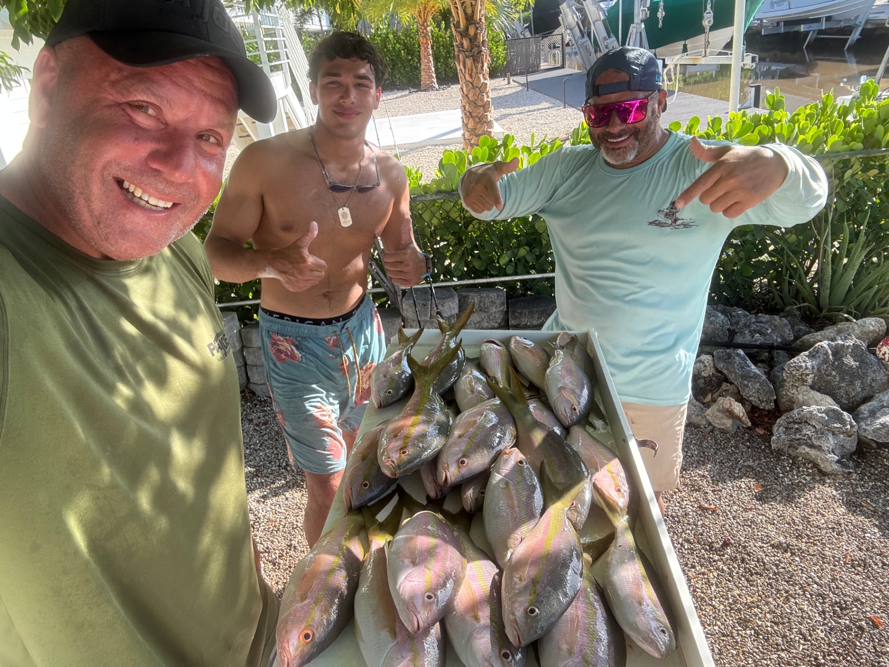 Yellowtail Snapper caught Dockside
