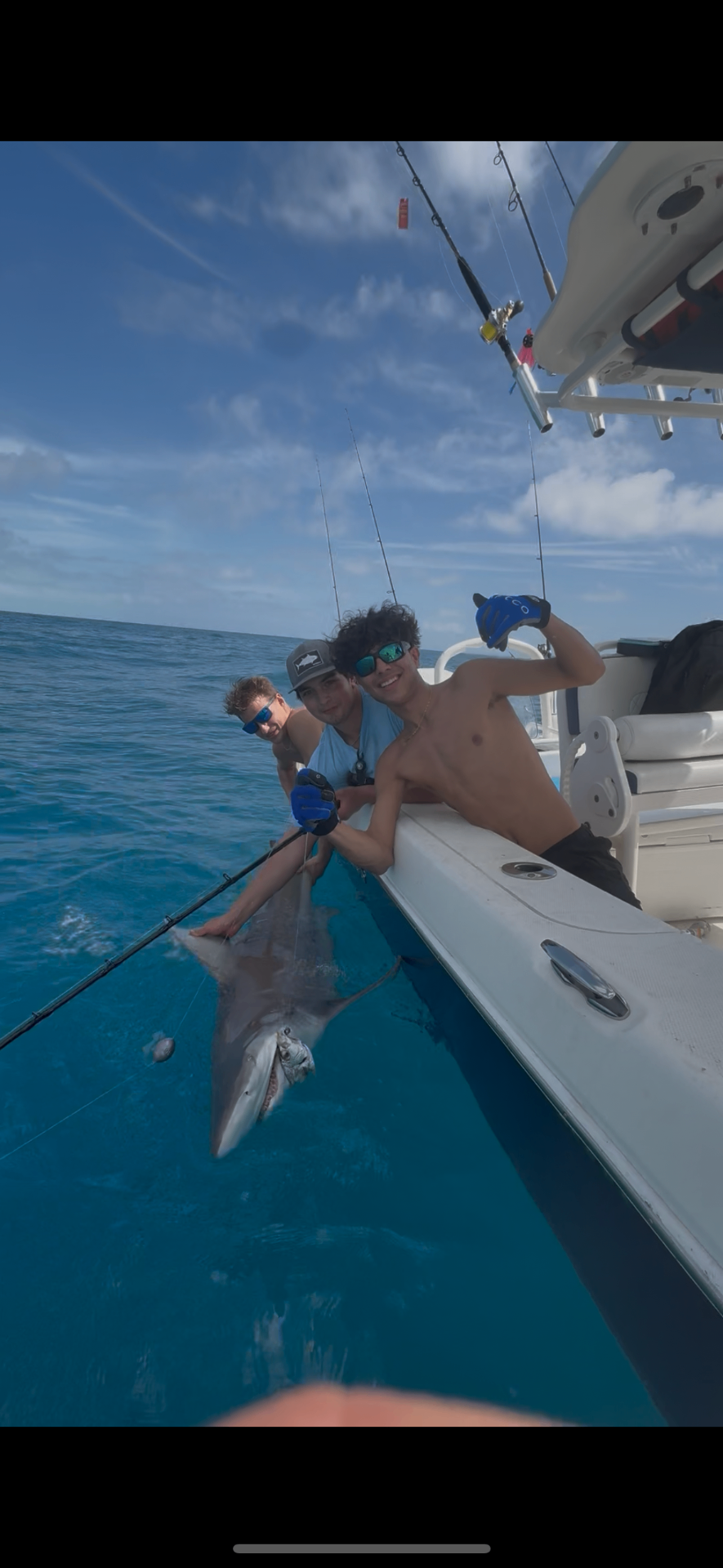 Shark caught Offshore